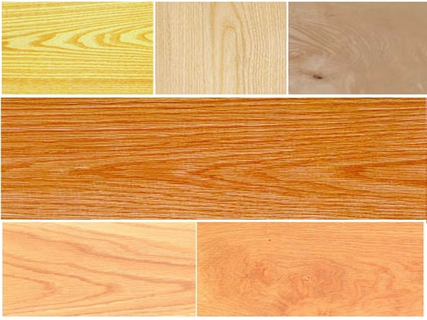 Đặc tính của một số loại gỗ tự nhiên dùng làm bề mặt Veneer