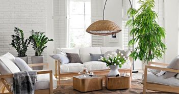 Người mệnh Thổ nên đặt cây gì trong phòng khách để hút tài lộc? Người mệnh Thổ nên đặt cây gì trong phòng khách để hút tài lộc?